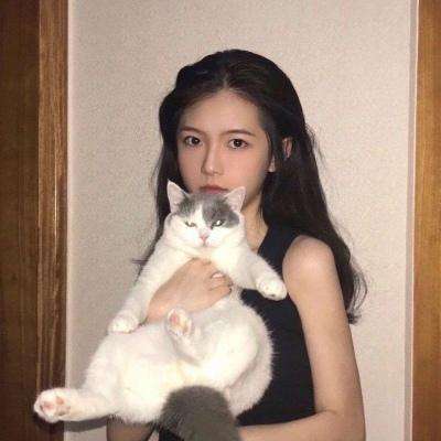 啪啪天将手游下载